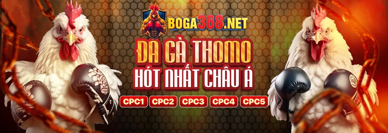 Đá gà trực tuyến hấp dẫn trên CS2 APK
